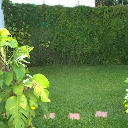 Beautiful Jungle House On A Strategic Location Cancun Exterior photo
