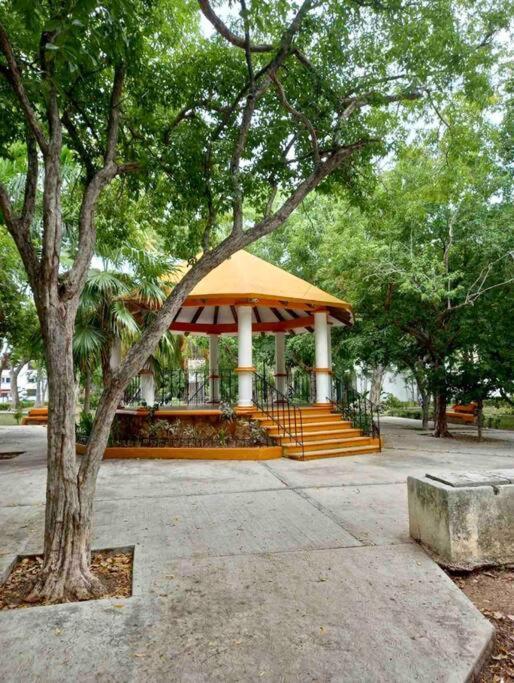 Beautiful Jungle House On A Strategic Location Cancun Exterior photo