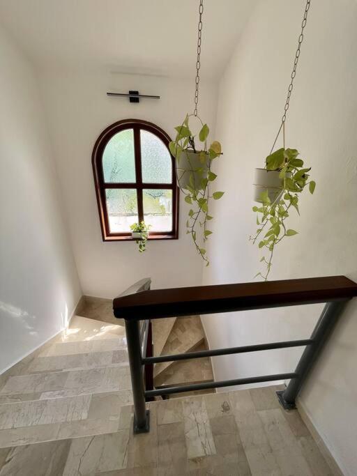Beautiful Jungle House On A Strategic Location Cancun Exterior photo