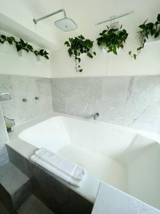 Beautiful Jungle House On A Strategic Location Cancun Exterior photo